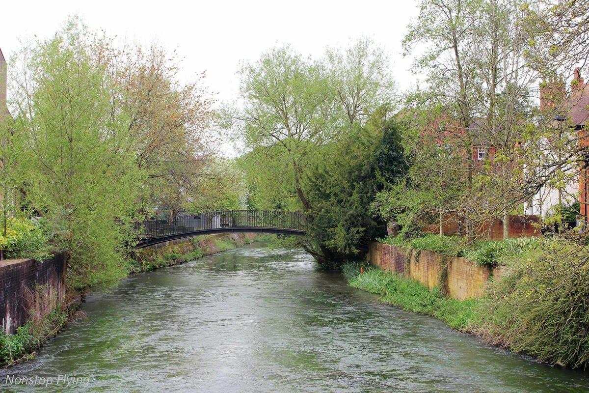 IMG_5558.jpg IMG_5558.jpg