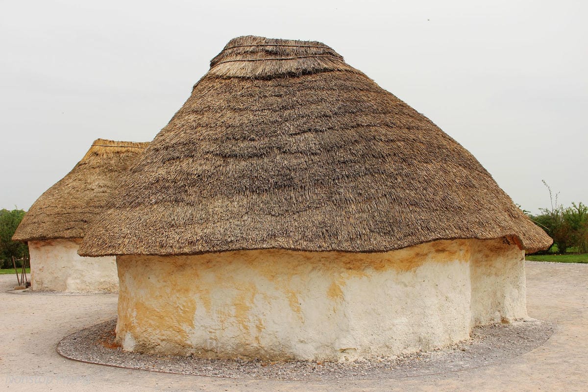 IMG_5607.jpg IMG_5607.jpg