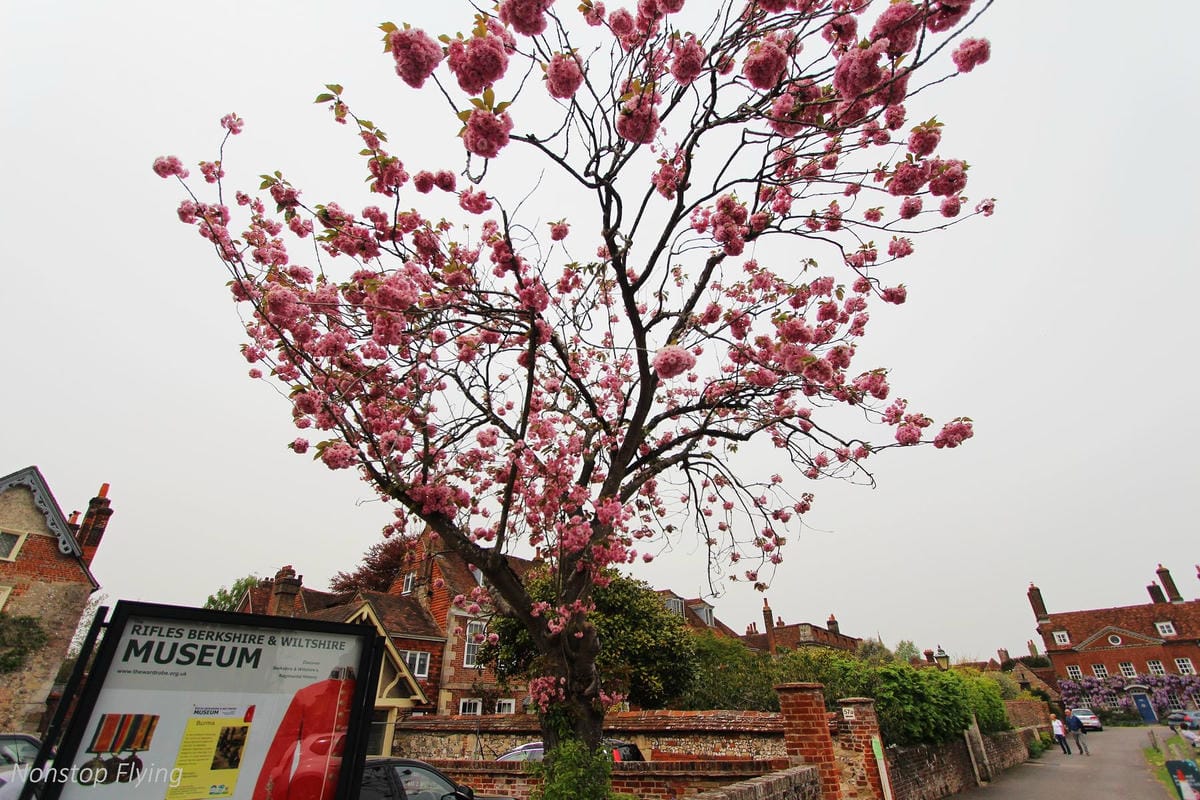 IMG_5645.jpg IMG_5645.jpg