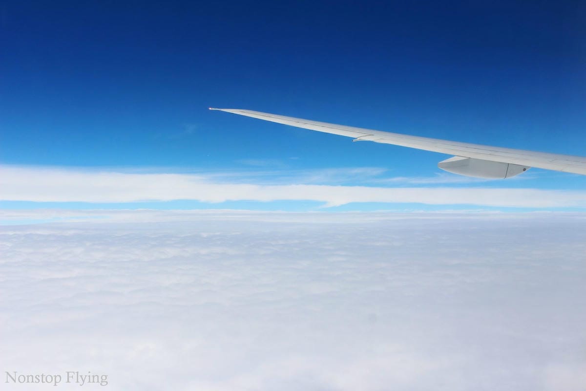 IMG_8236.jpg IMG_8236.jpg