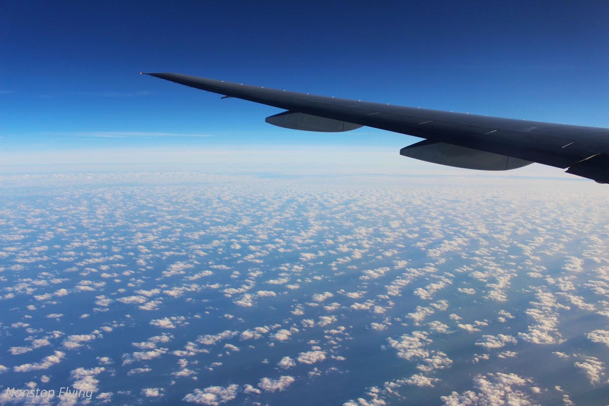 IMG_9119.jpg IMG_9119.jpg