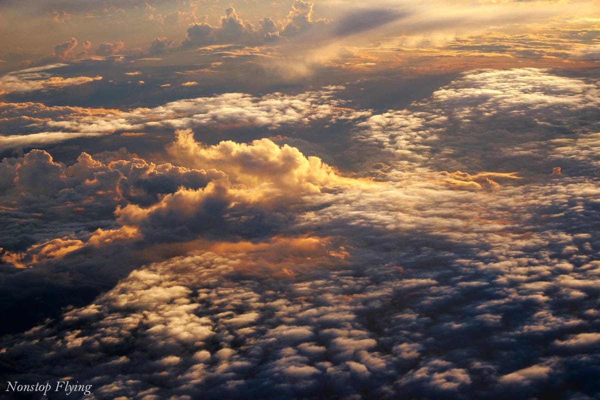 IMG_1781.jpg IMG_1781.jpg