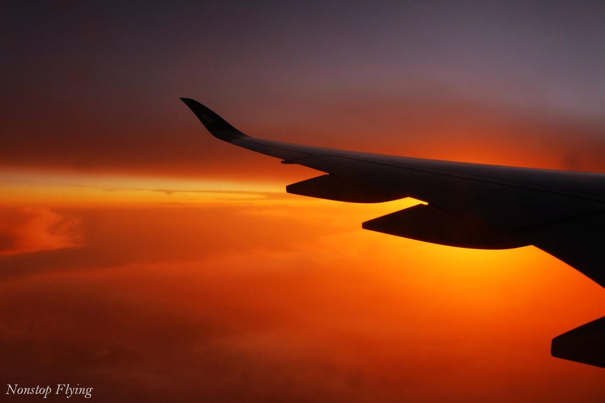 IMG_1795.jpg IMG_1795.jpg