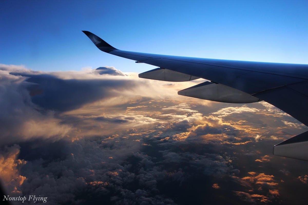 IMG_1779.jpg IMG_1779.jpg