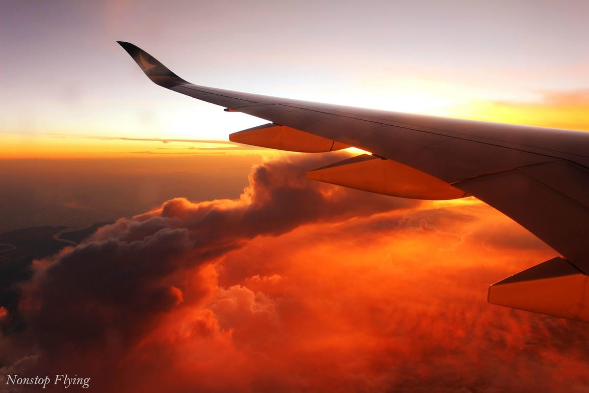 IMG_1790.jpg IMG_1790.jpg