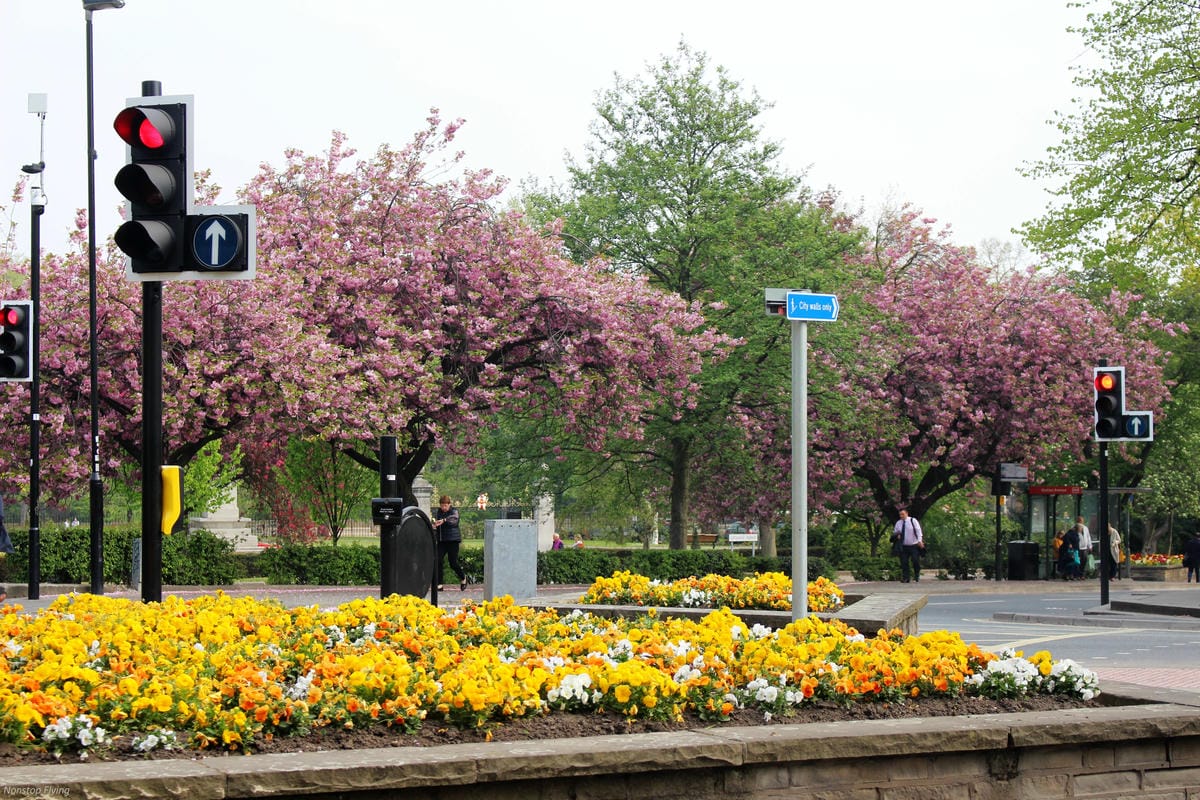 IMG_5716.jpg IMG_5716.jpg