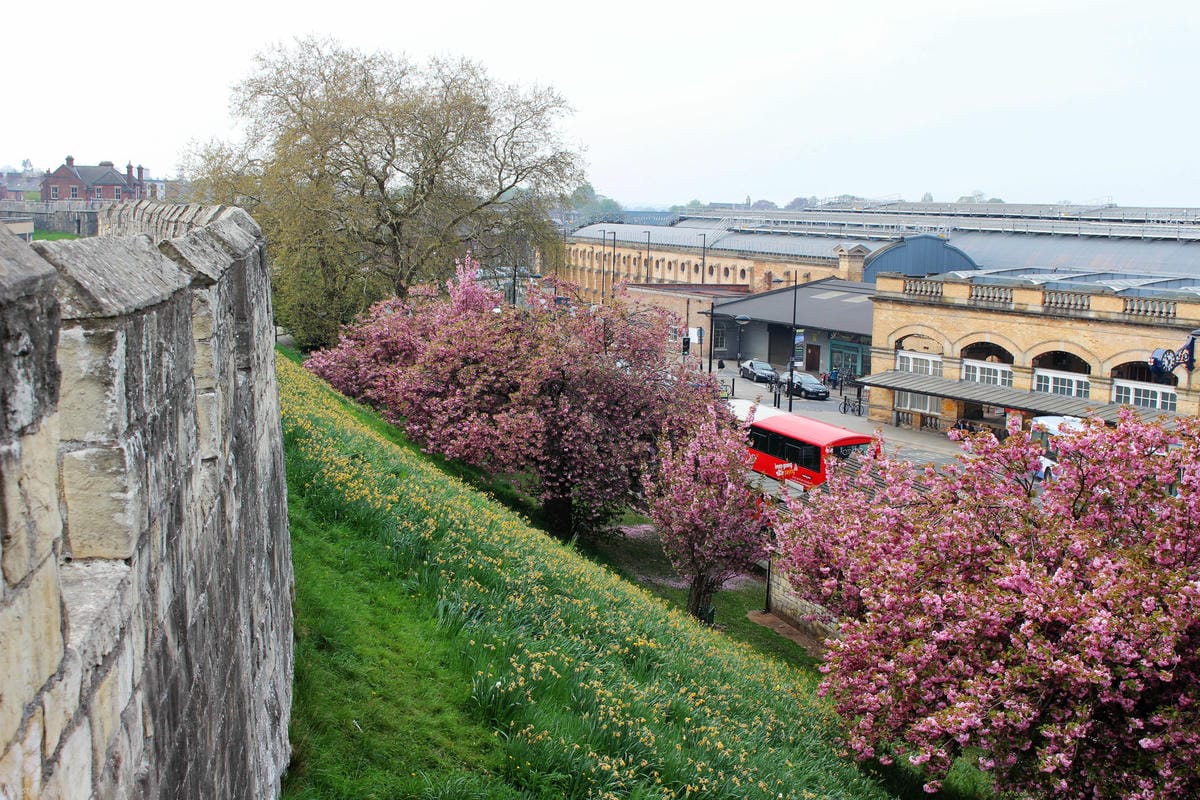 IMG_5746.jpg IMG_5746.jpg