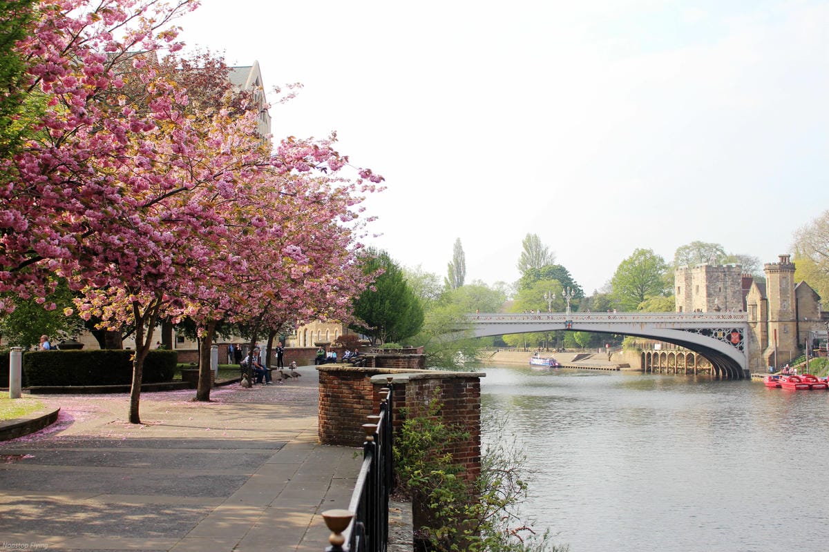 IMG_5984.jpg IMG_5984.jpg