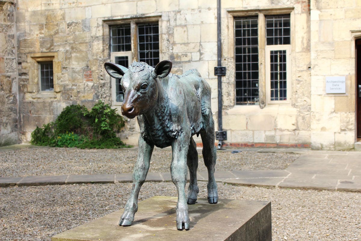 IMG_5794.jpg IMG_5794.jpg