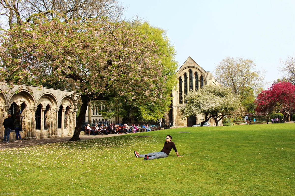 IMG_5856.jpg IMG_5856.jpg