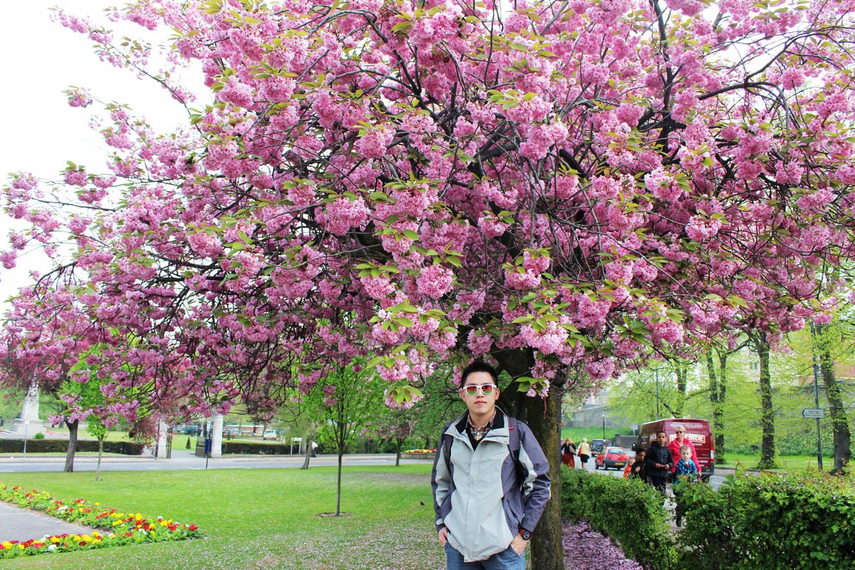 IMG_5718.jpg IMG_5718.jpg