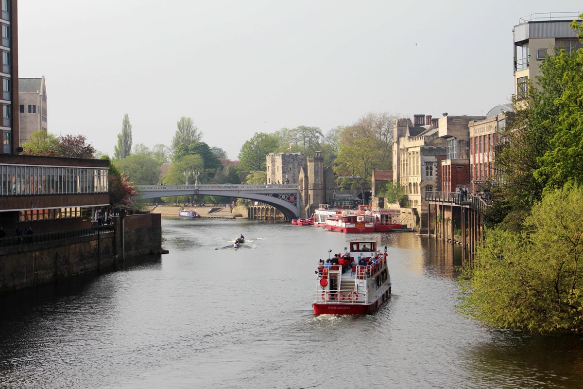 IMG_5976.jpg IMG_5976.jpg