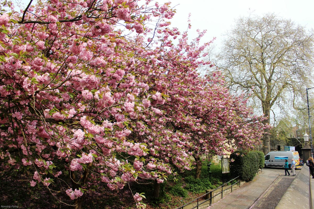 IMG_5761.jpg IMG_5761.jpg