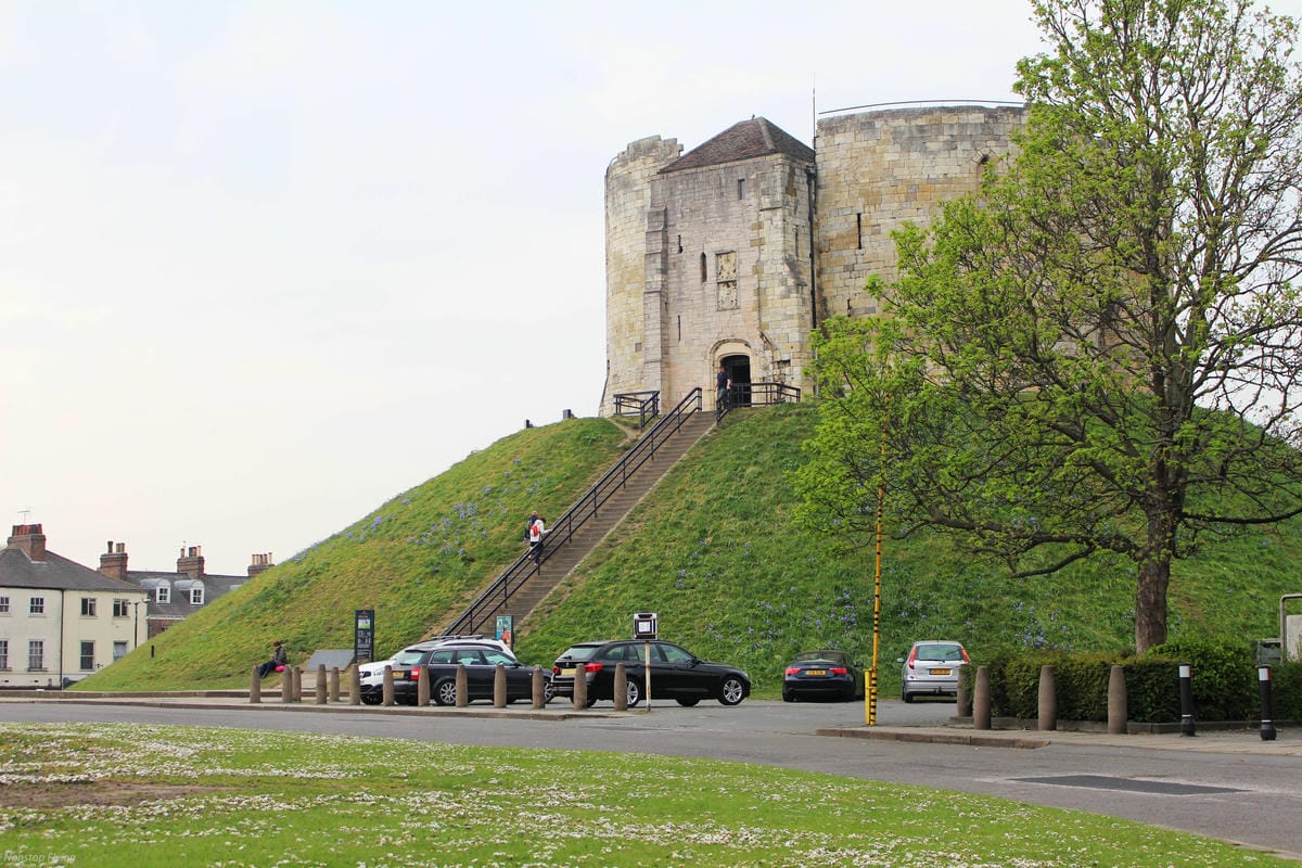 IMG_5955.jpg IMG_5955.jpg