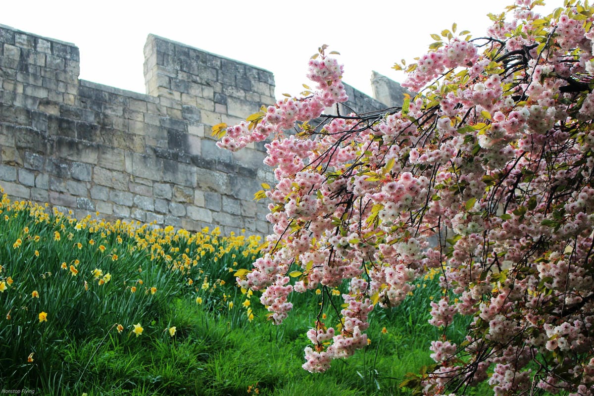 IMG_5714.jpg IMG_5714.jpg