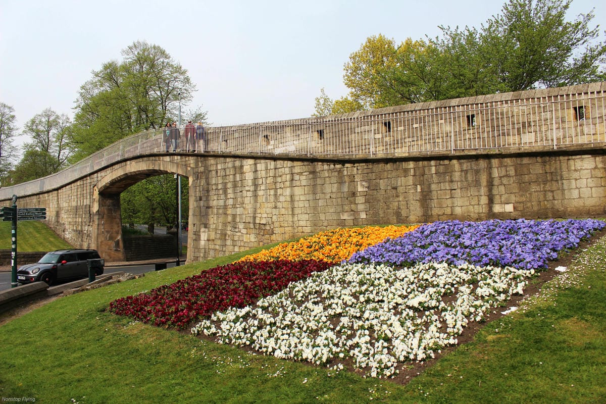 IMG_5726.jpg IMG_5726.jpg