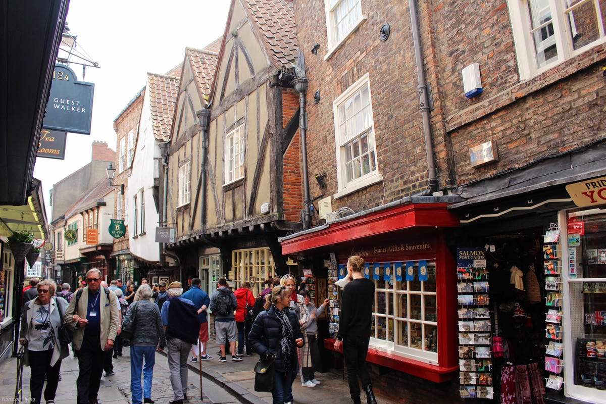 IMG_5930.jpg IMG_5930.jpg