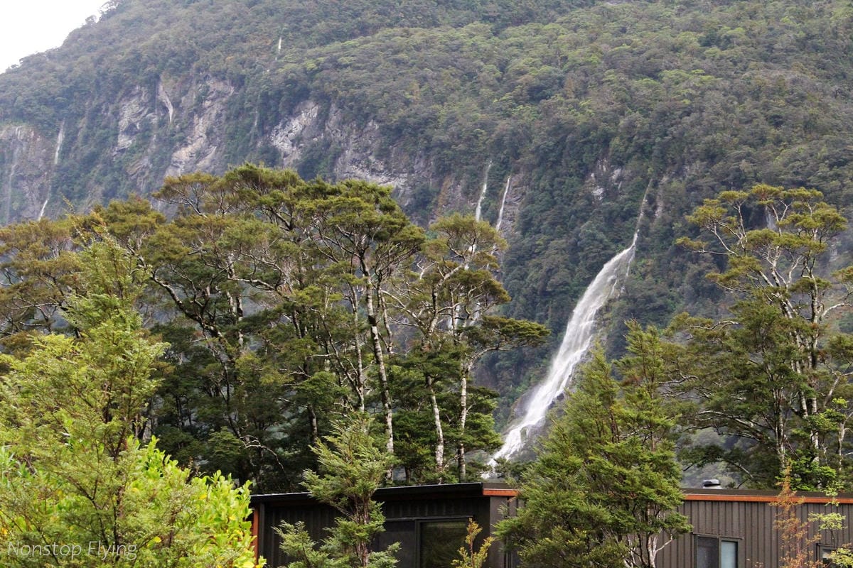 IMG_9952.jpg IMG_9952.jpg