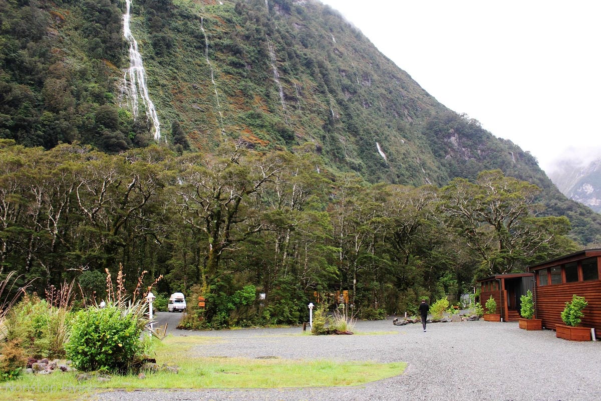 IMG_9959.jpg IMG_9959.jpg