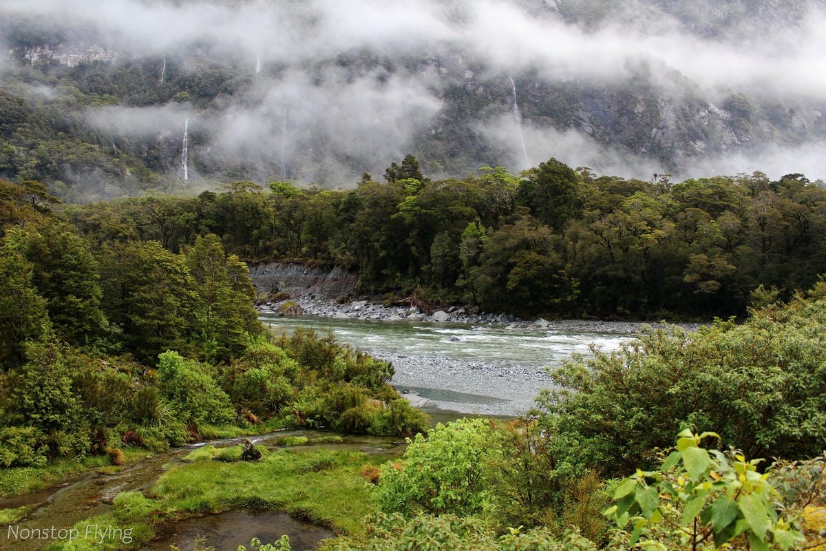 IMG_9995.jpg IMG_9995.jpg