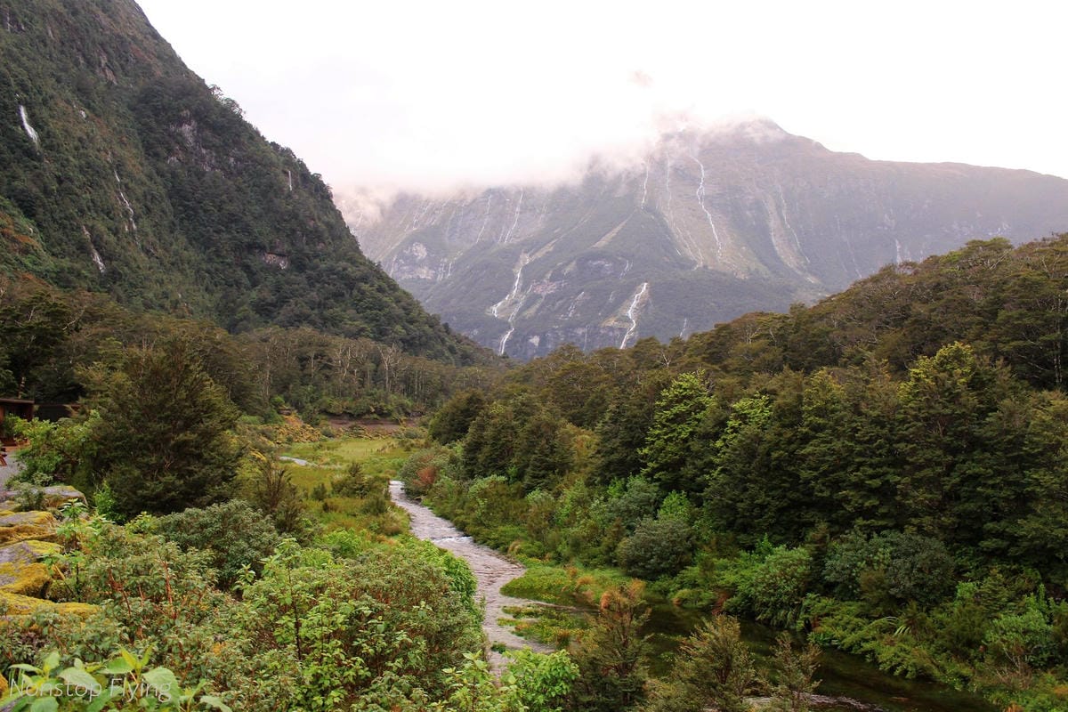 IMG_9978.jpg IMG_9978.jpg