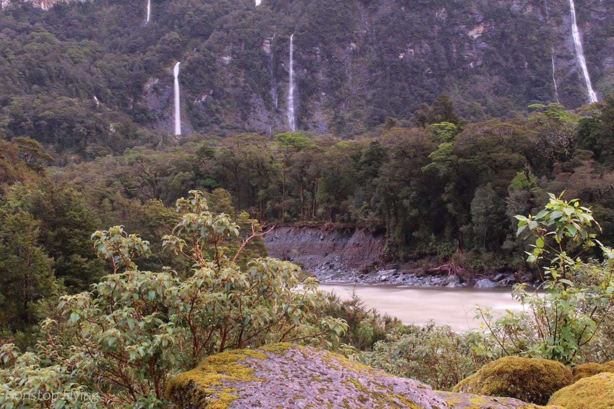 IMG_9983.jpg IMG_9983.jpg