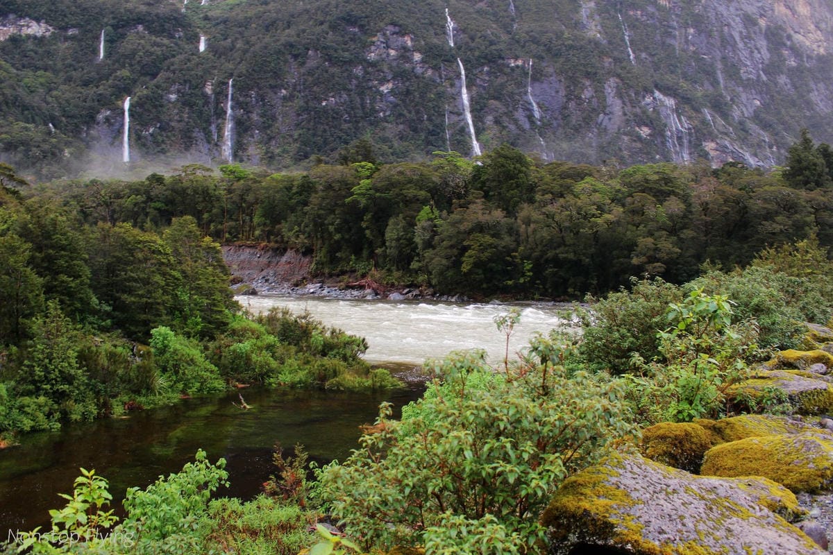 IMG_9980.jpg IMG_9980.jpg