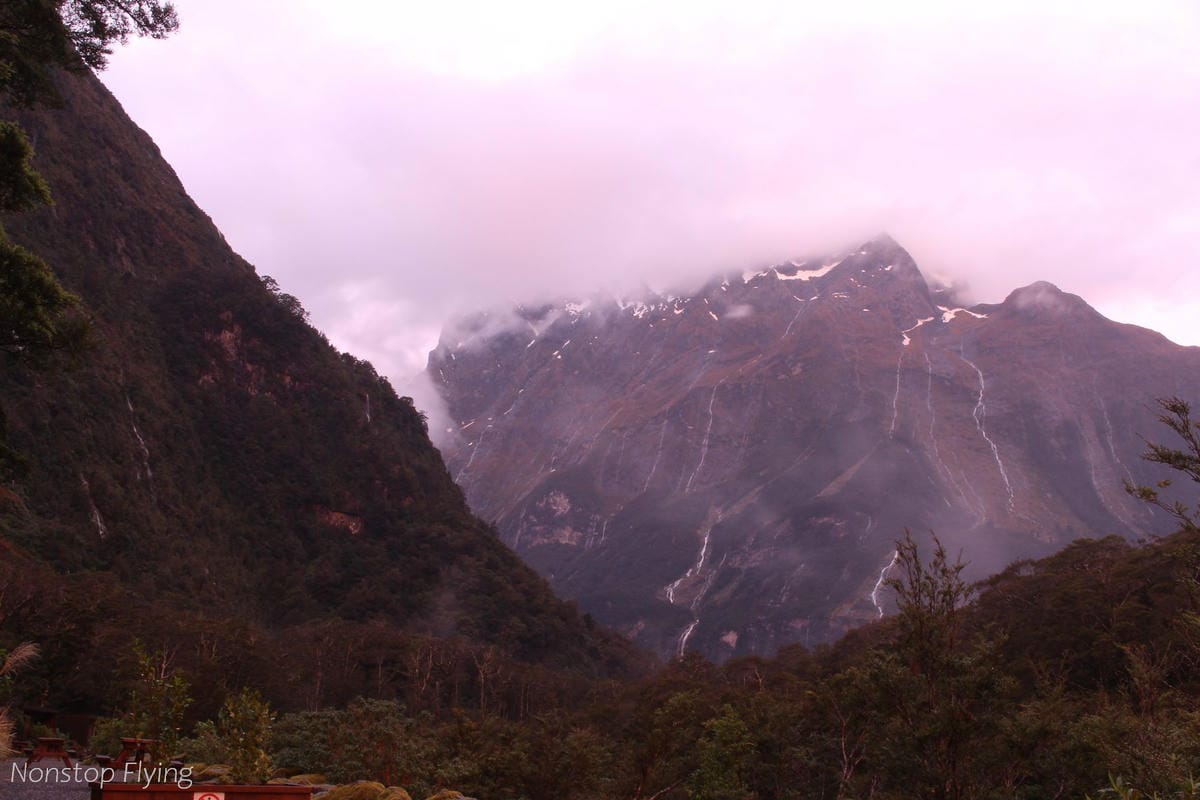 IMG_9990.jpg IMG_9990.jpg