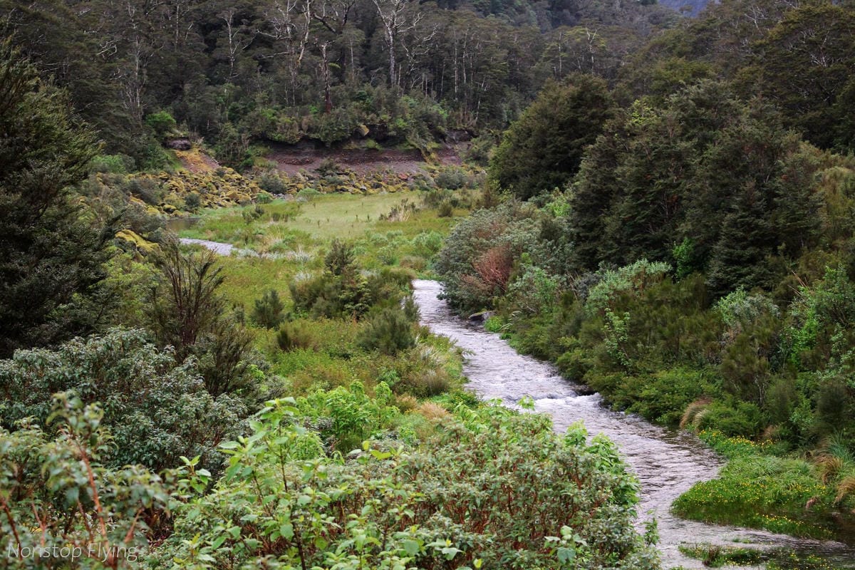 IMG_9971.jpg IMG_9971.jpg