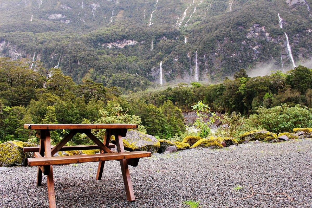 IMG_9974.jpg IMG_9974.jpg