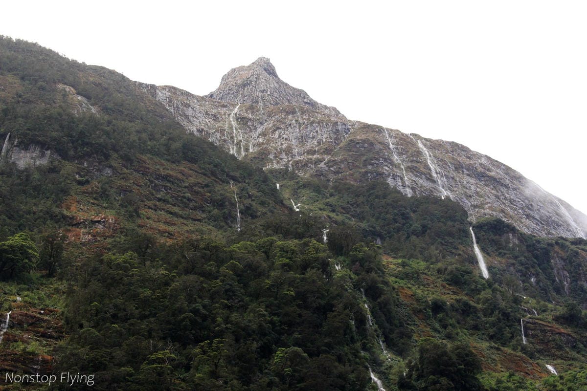 IMG_9953.jpg IMG_9953.jpg