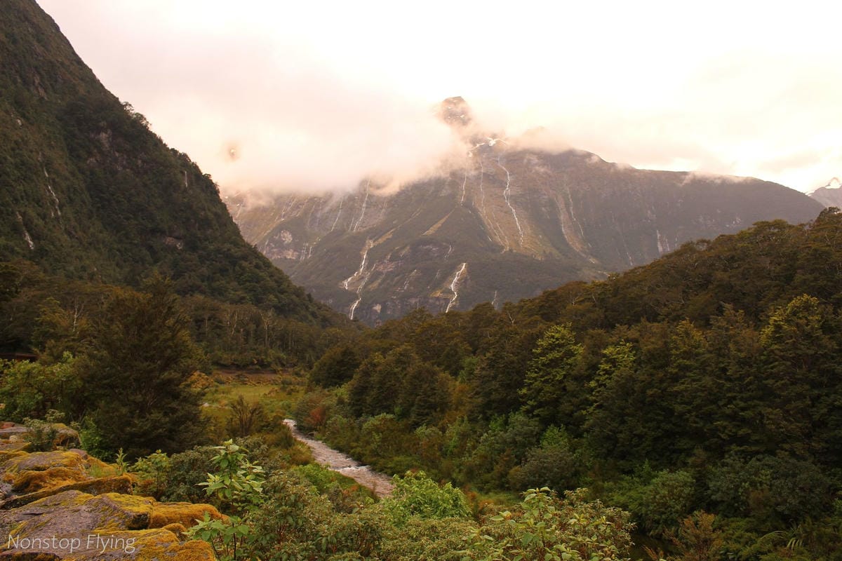 IMG_9968.jpg IMG_9968.jpg