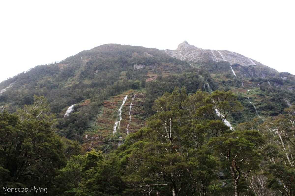 IMG_9945.jpg IMG_9945.jpg