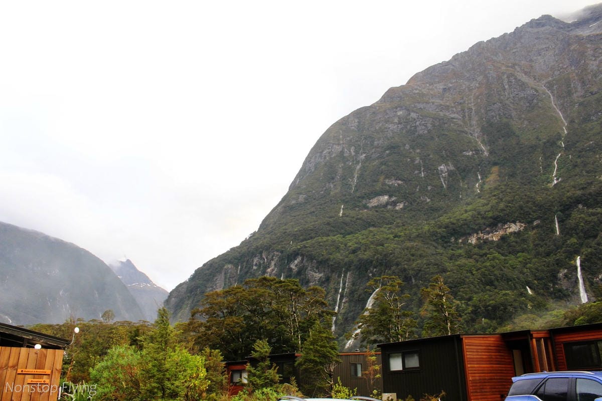 IMG_9950.jpg IMG_9950.jpg