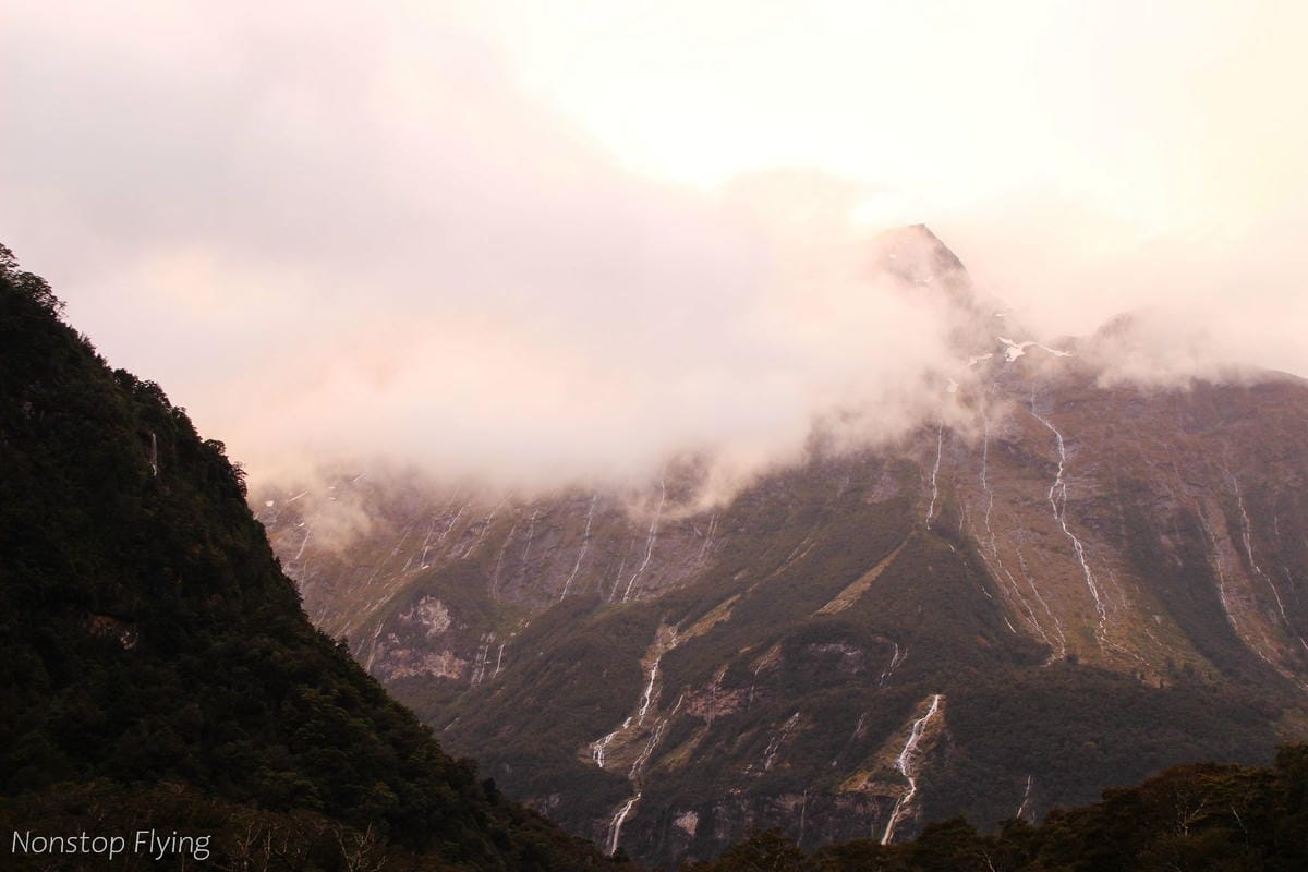 IMG_9973.jpg IMG_9973.jpg