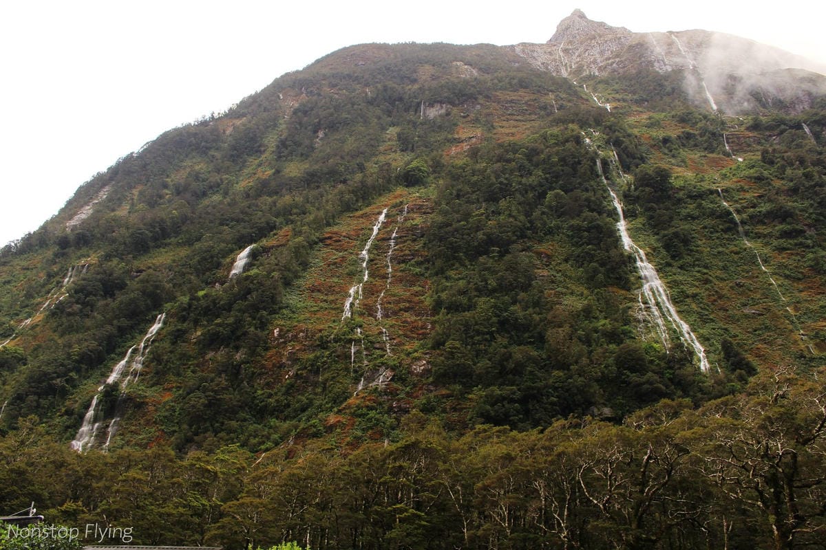 IMG_9961.jpg IMG_9961.jpg