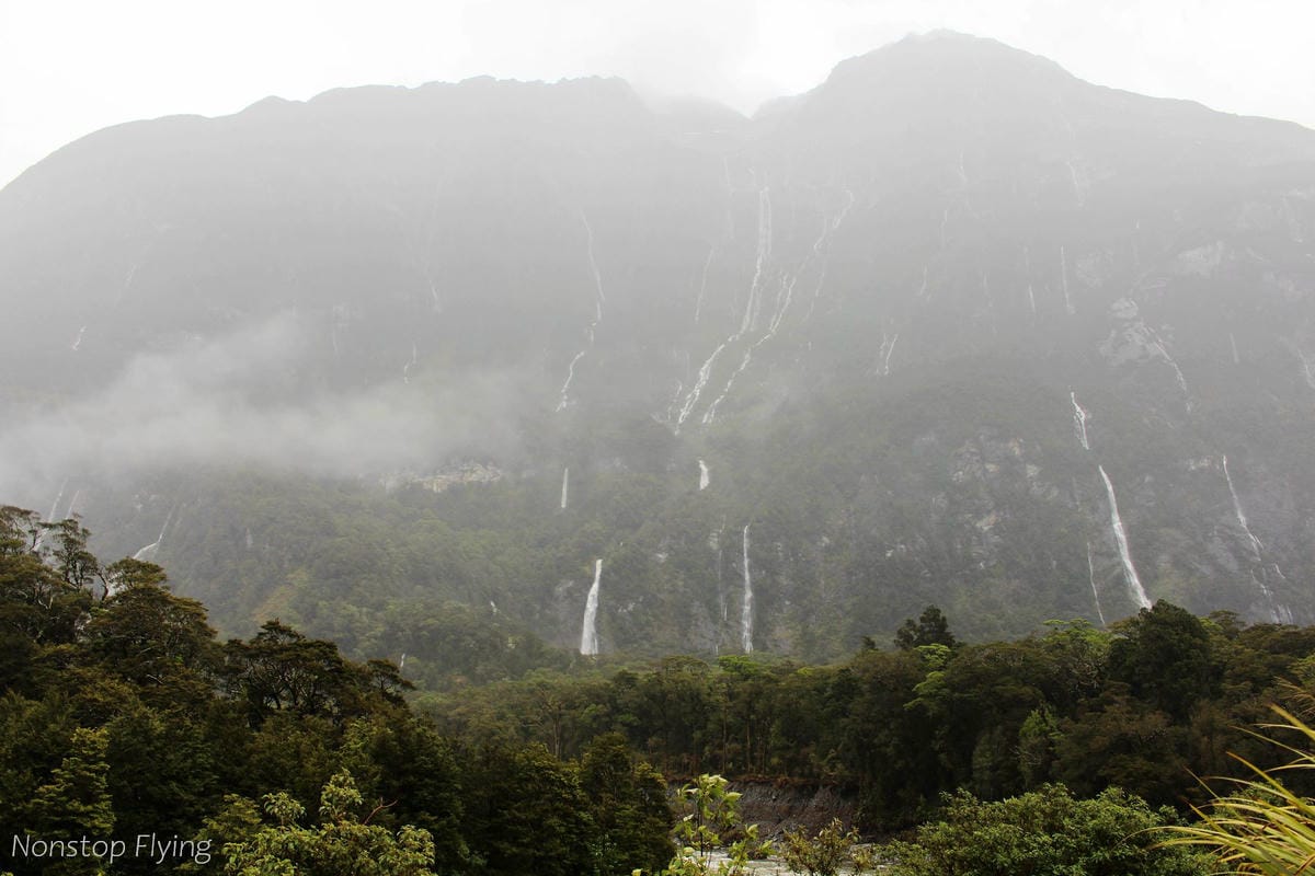 IMG_9891.jpg IMG_9891.jpg