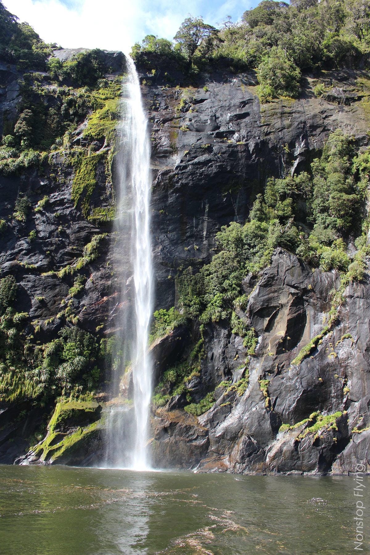 IMG_0121.jpg IMG_0121.jpg