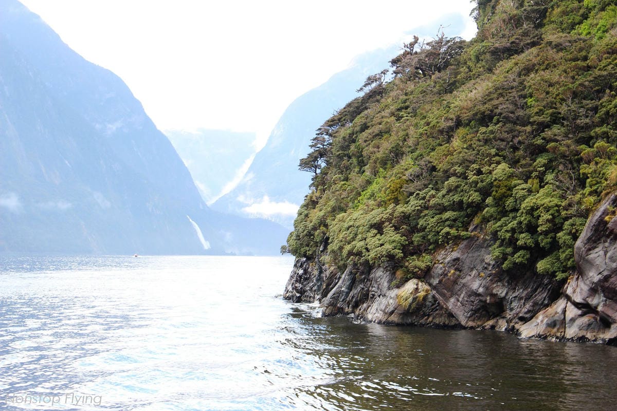 IMG_0097.jpg IMG_0097.jpg