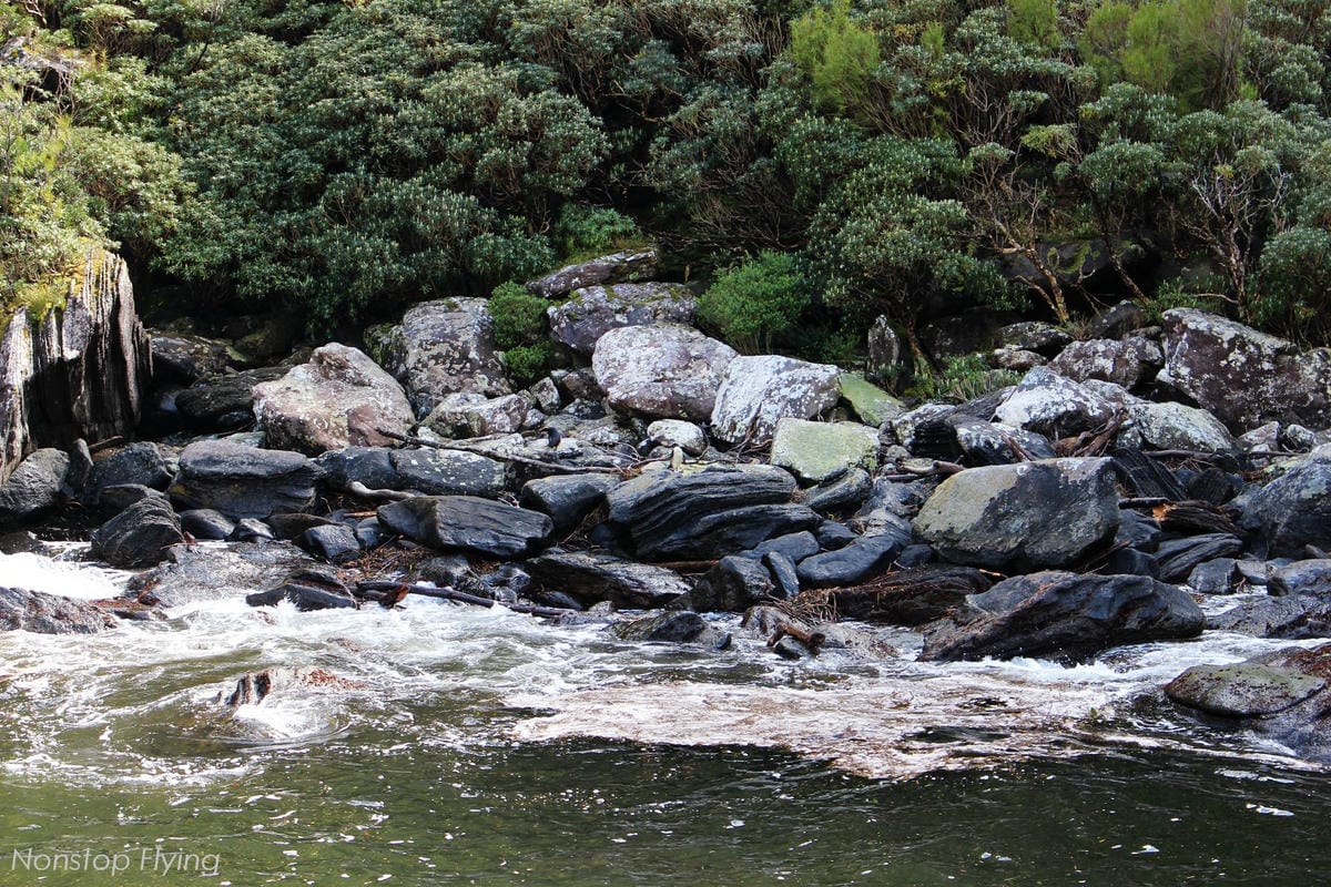 IMG_0130.jpg IMG_0130.jpg