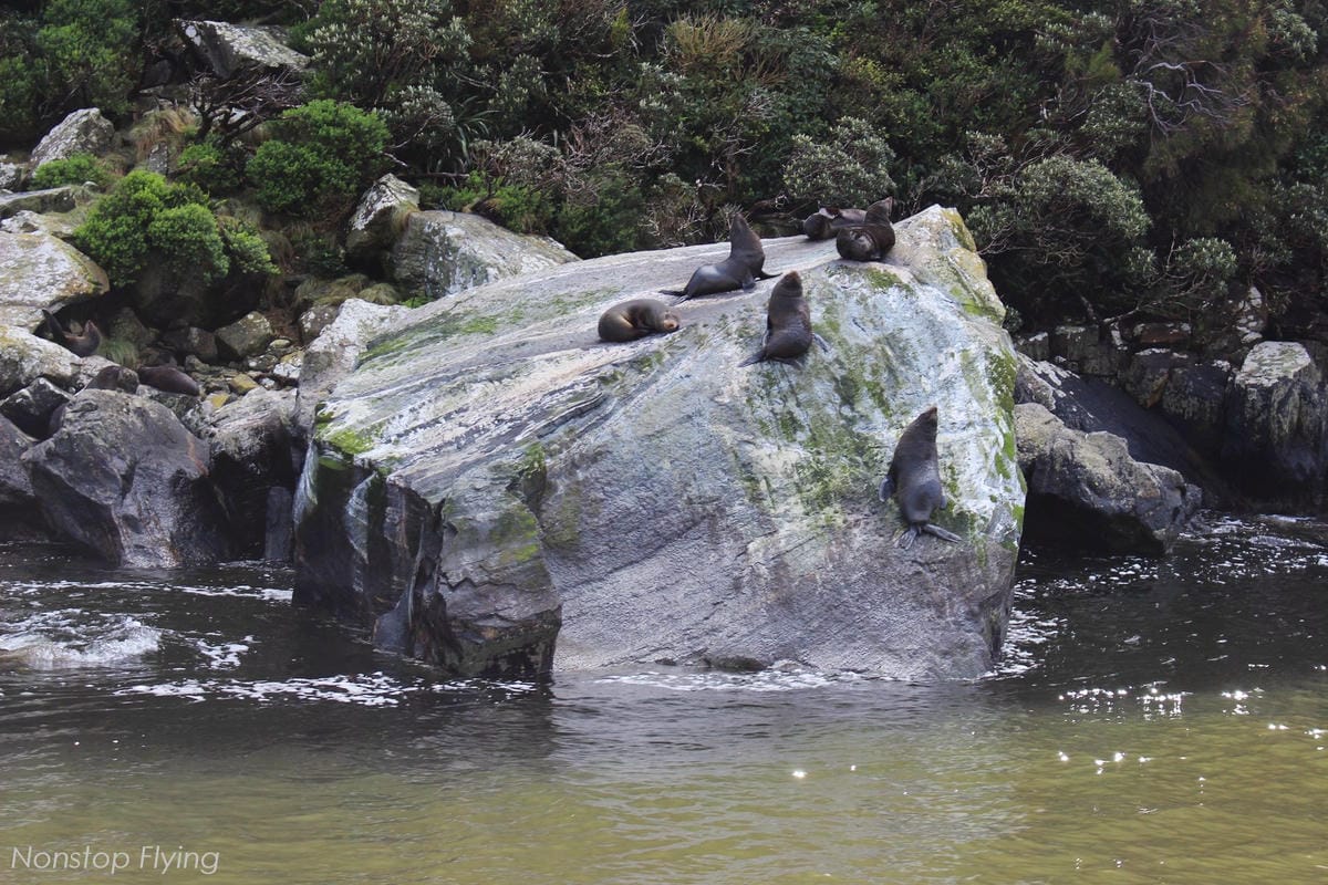 IMG_0159.jpg IMG_0159.jpg