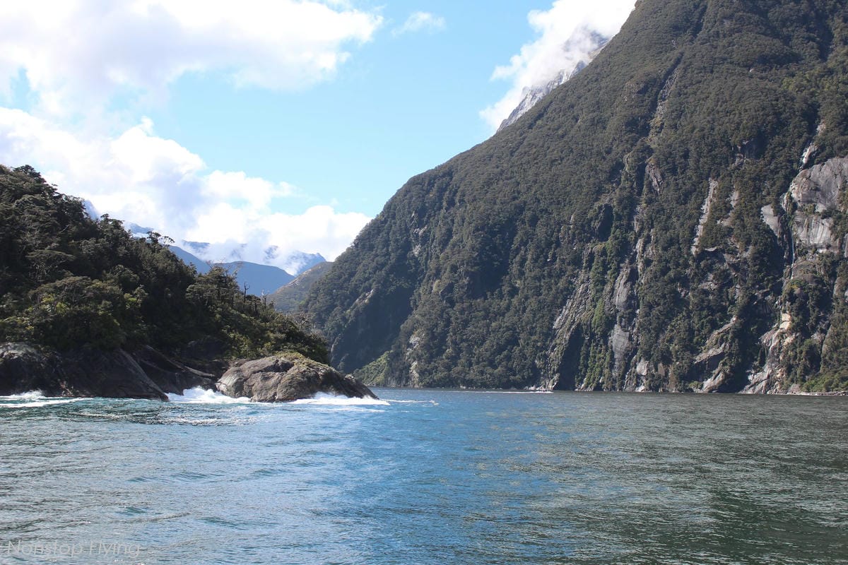 IMG_0142.jpg IMG_0142.jpg