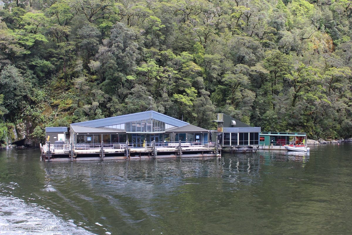 IMG_0199.jpg IMG_0199.jpg