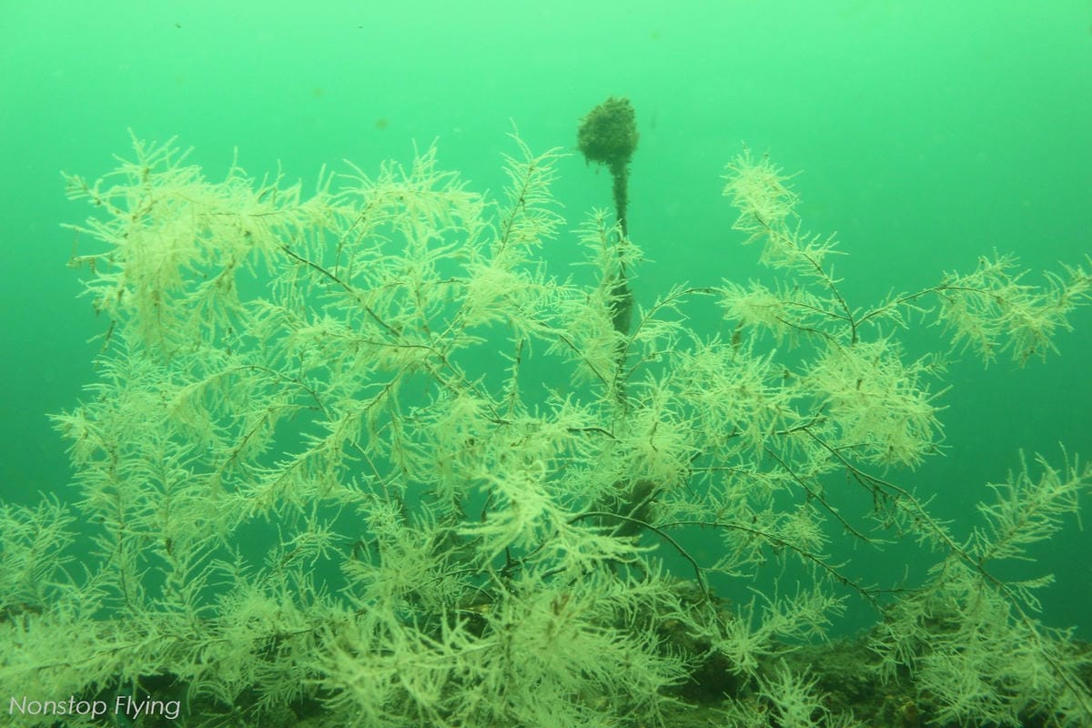 IMG_0176.jpg IMG_0176.jpg