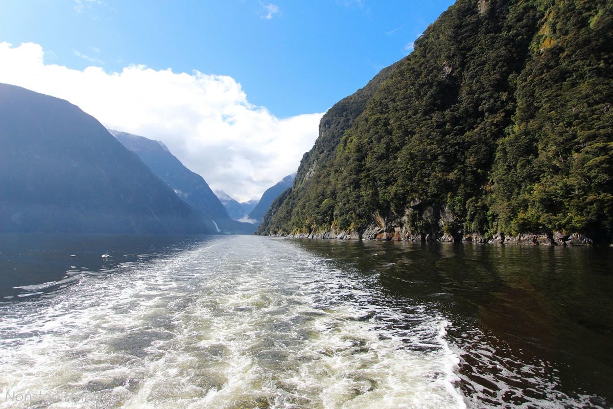 IMG_0082.jpg IMG_0082.jpg