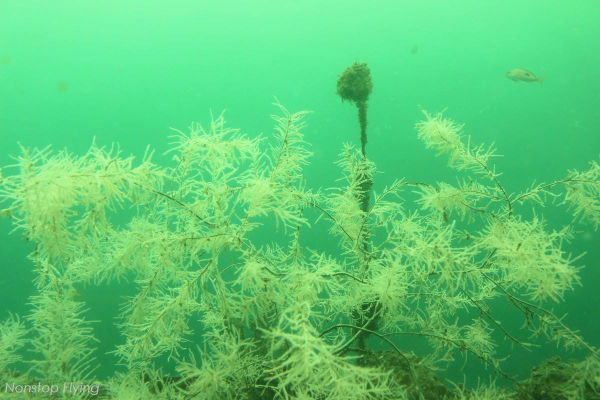 IMG_0180.jpg IMG_0180.jpg