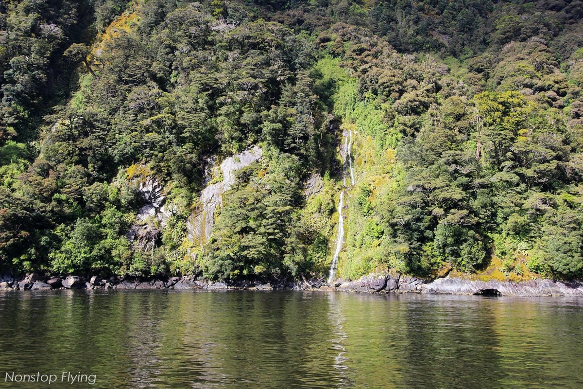 IMG_0083.jpg IMG_0083.jpg