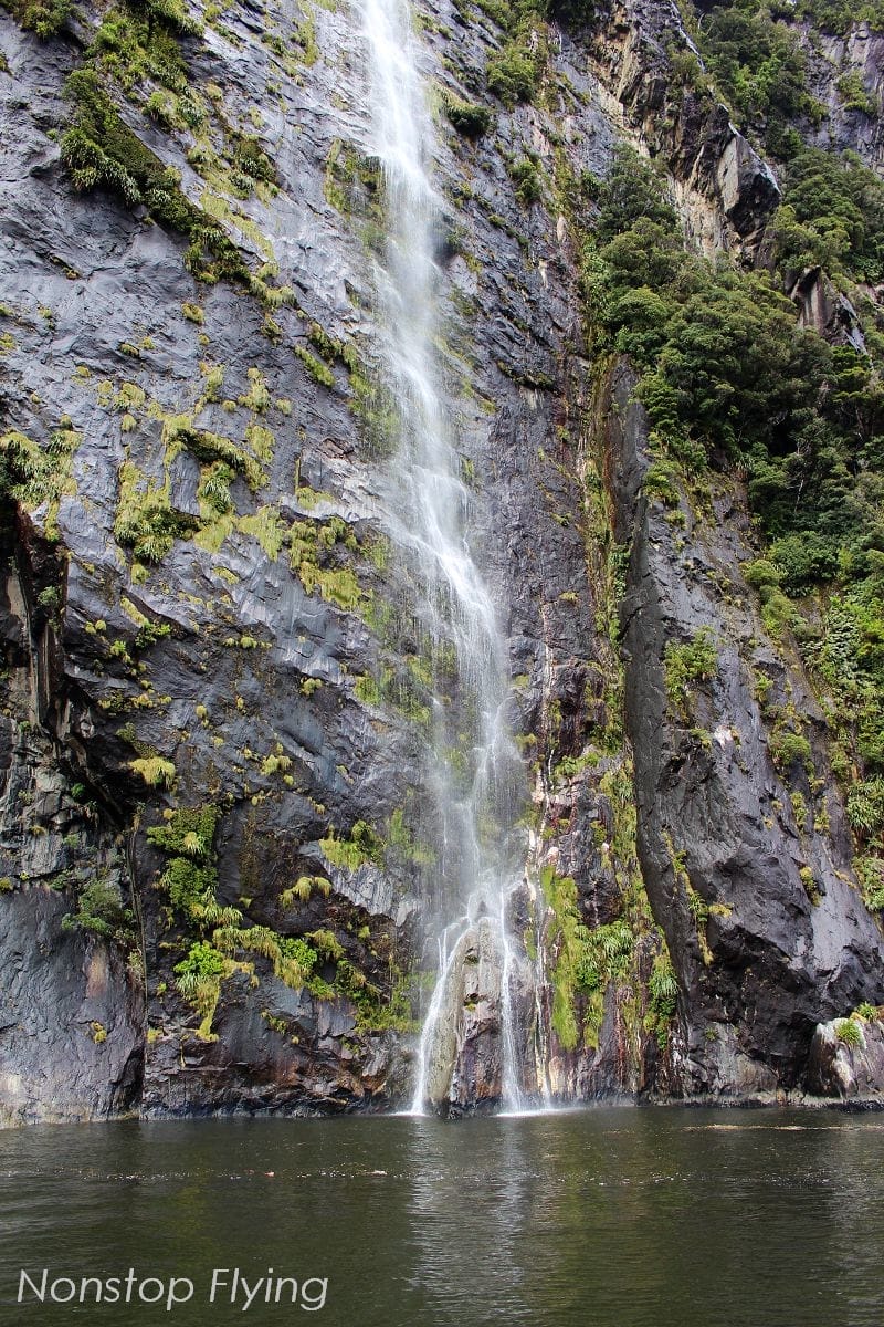 IMG_0101.jpg IMG_0101.jpg