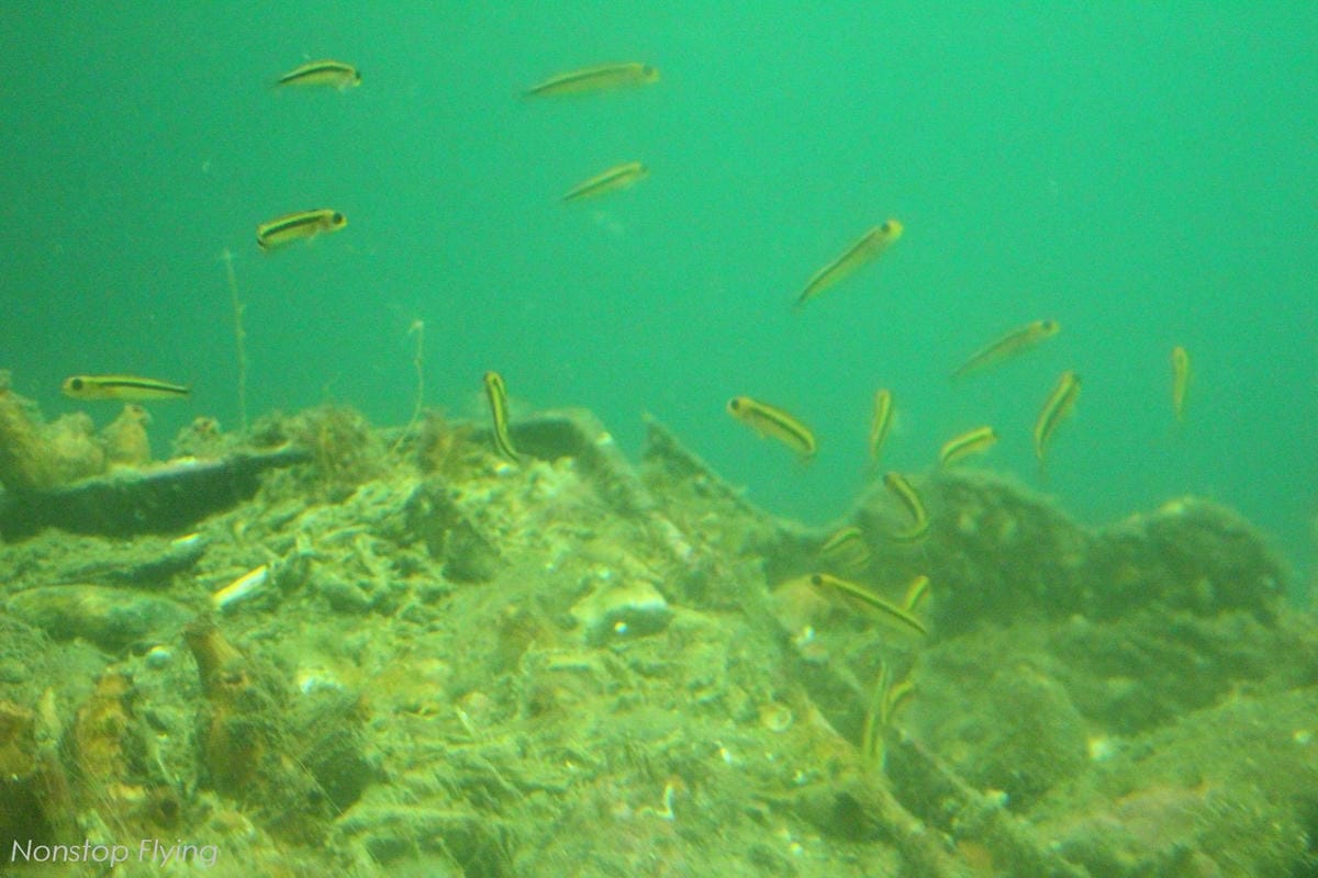 IMG_0178.jpg IMG_0178.jpg