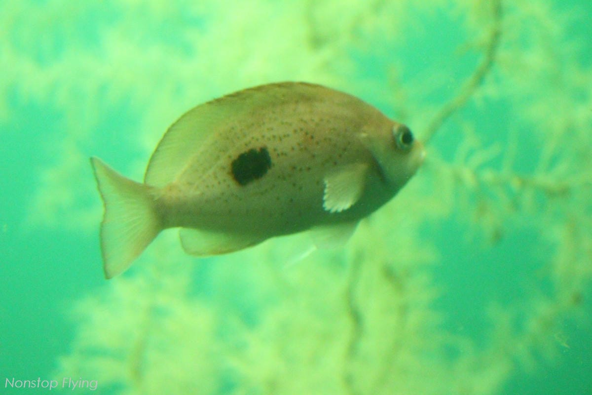 IMG_0184.jpg IMG_0184.jpg